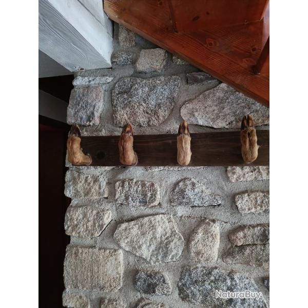 Porte manteau troph�e de chasse