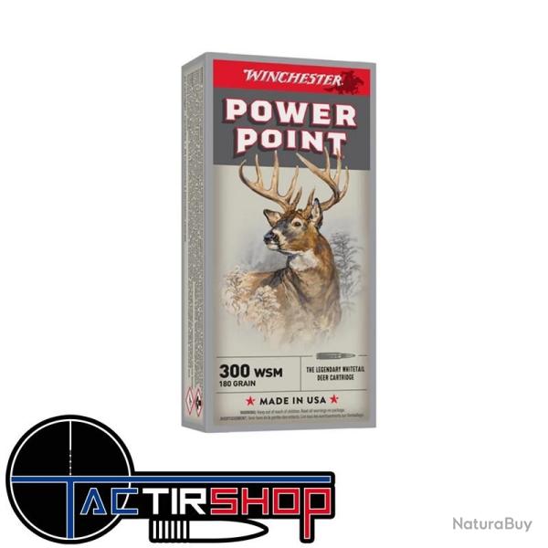 Munitions Winchester Power-Point 300 WSM 180gr Boite 20