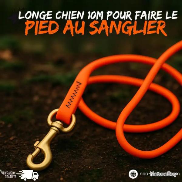 Longe plate chien 10m pour faire le pied au sanglier LIV OFFERTE
