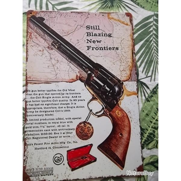 DECO plaque western colt