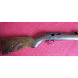 carabine patrone 22 lr