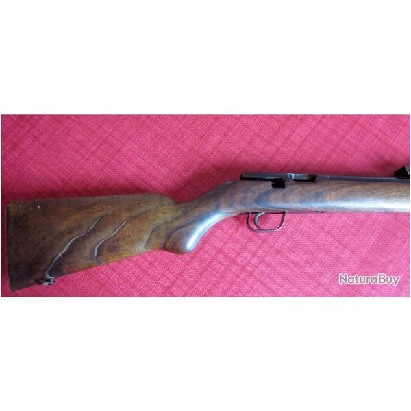 carabine patrone 22 lr