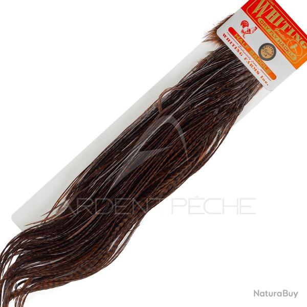 1/2 saddle WHITING bronze teint� coachman