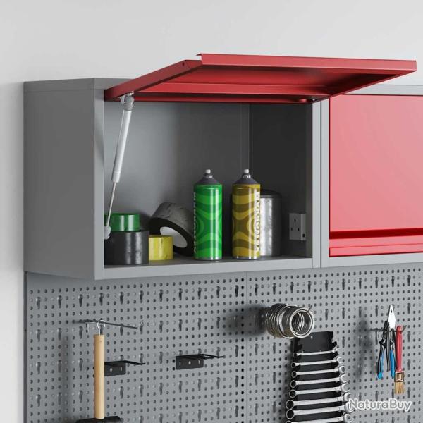 Armoire � outils murale avec porte � levage � gaz rouge, 50x25x35 cm