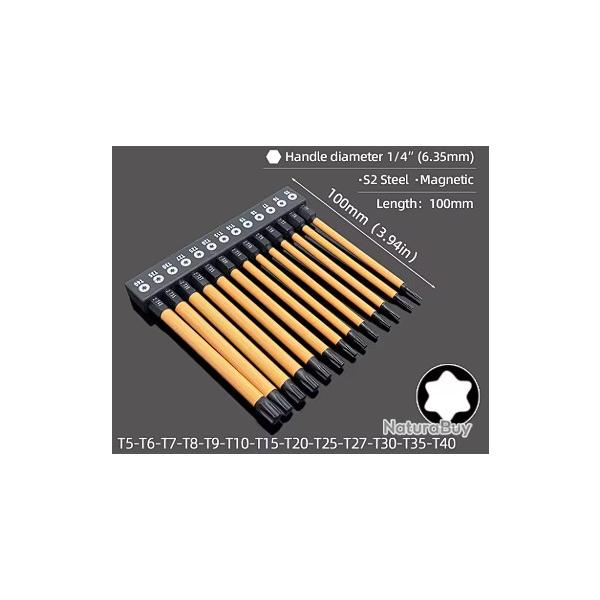 Kit 13 embouts Torx longs 100mm