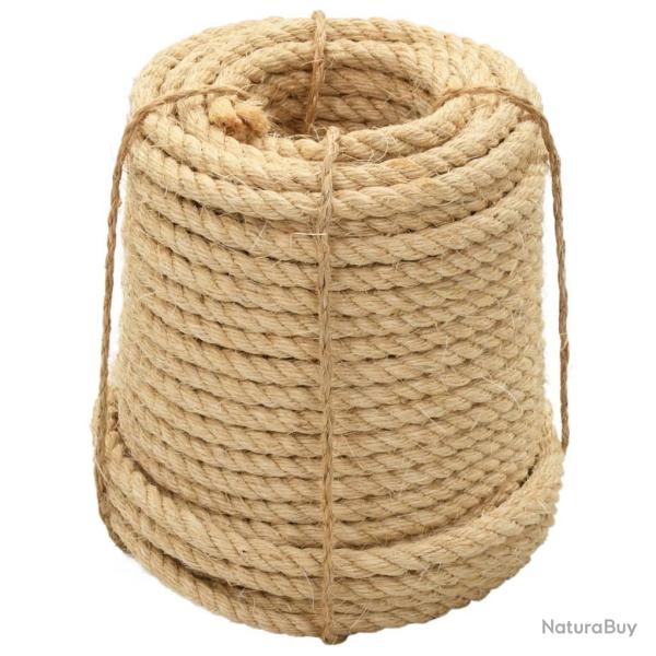 Corde 100 % en sisal 12 mm 250 m 02_0003296