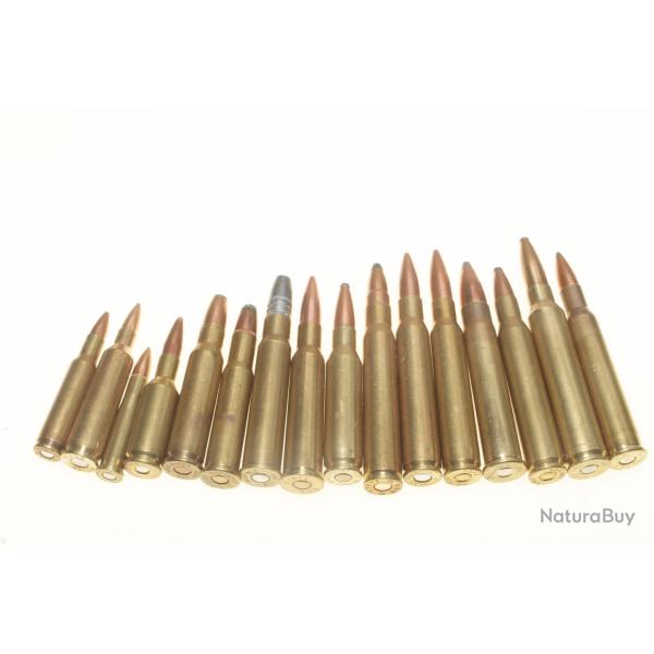 Collection de 16 cartouches  de gros calibres port gratuit !