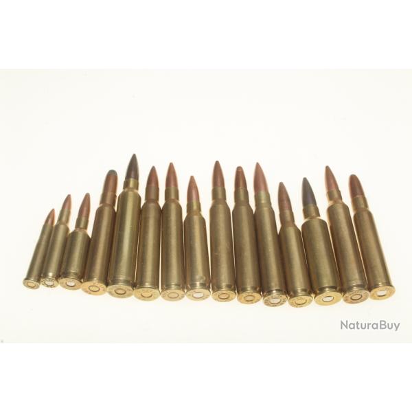 Collection de 15 cartouches  de gros calibres port gratuit !