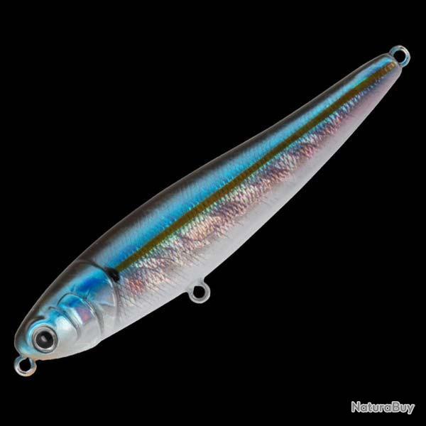 Chihuahua 110 11cm 07