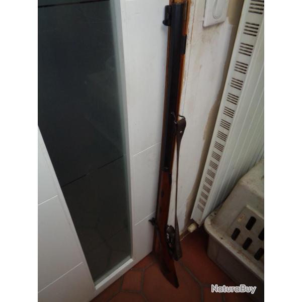 Fusil Tryon Creedmoor calibre 44