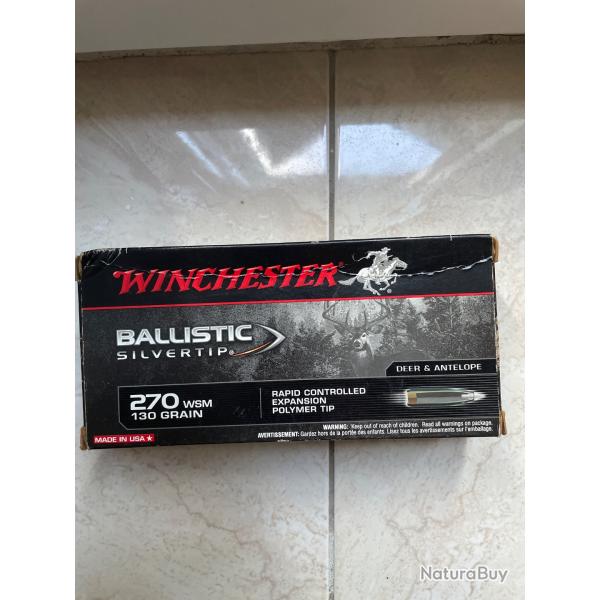 Balle winchester ballistic silvertip
