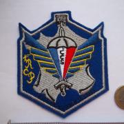 Insigne Tissu Brevet Chuteur Parachutiste En Cannetille - Décoration Militaire Vintage - Occasion