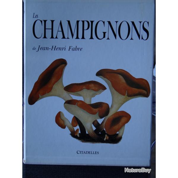 LES CHAMPIGNONS DE JEAN - HENRI FABRE
