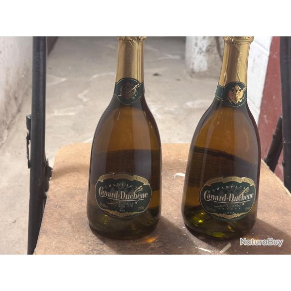 Bouteilles de champagne Canard Duchene