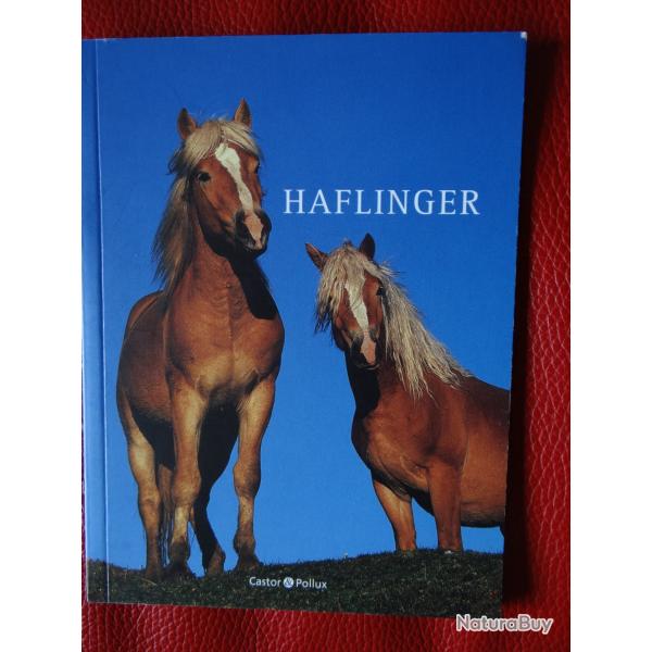 Haflinger  CHEVAL, boiselle