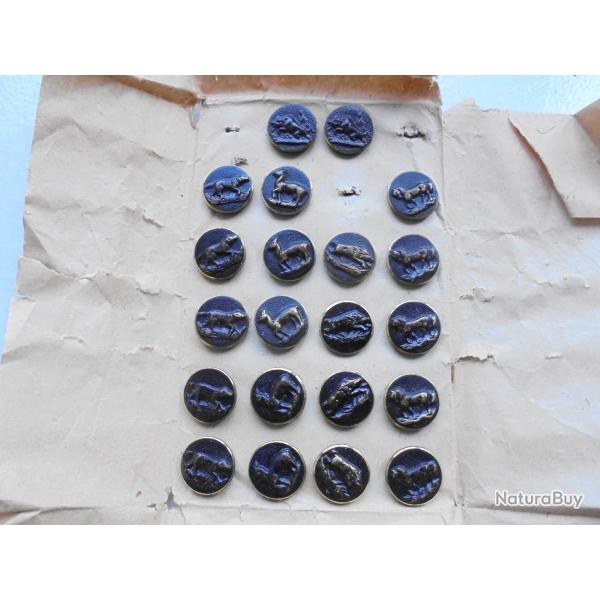 21 BOUTONS CHASSE VENERIE SUR LAITON /  SANGLIERS - CHEVAUX - CHEVREUIL - CHIENS