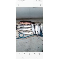 Leurre dur VIPER 195mm 44g