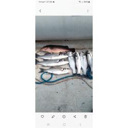 Leurre mer rigide flottant 195mm 44g VIPER fluo