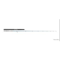 Canne spinning SAVAGE GEAR SGS2 Offshore Plug 2,50m 30-80gr