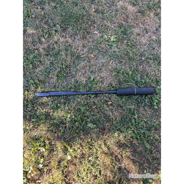 Canon blaser avec modrateur de sons