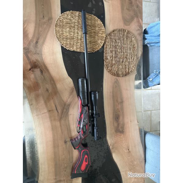 Carabine daystates 5.5