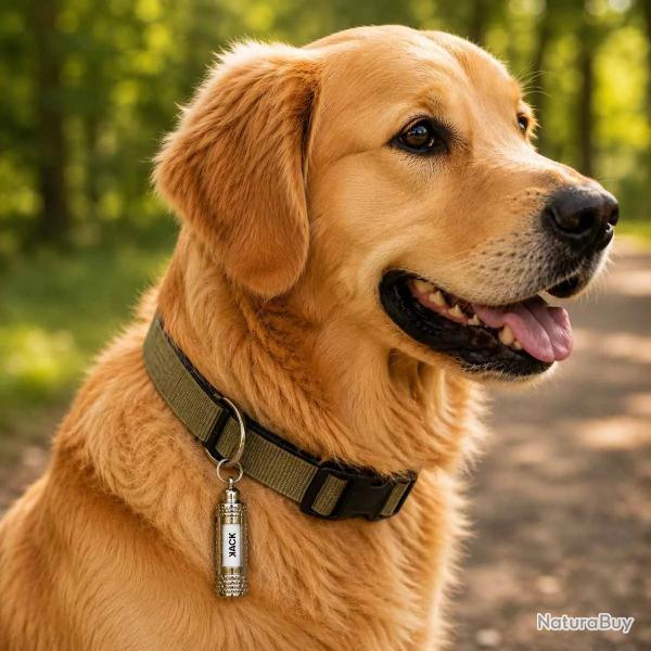 2 Tubes adresse �tiquetage identification id�al chien