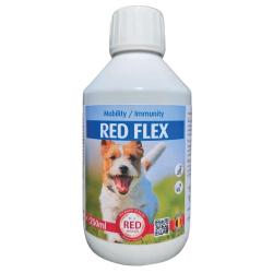 Traitement Rhumatisme Chien - Solution Anti-Inflammatoire Naturelle