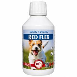 Traitement Rhumatisme Chien - Solution Anti-Inflammatoire Naturelle