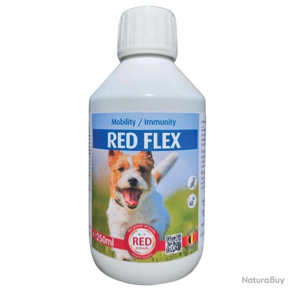 Traitement Rhumatisme Chien - Solution Anti-Inflammatoire Naturelle