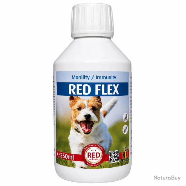Traitement Rhumatisme Chien - Solution Anti-Inflammatoire Naturelle