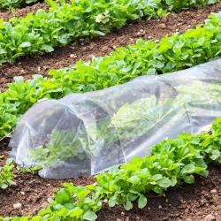 Tunnel de culture 3m pour potager - Serre jardin protection