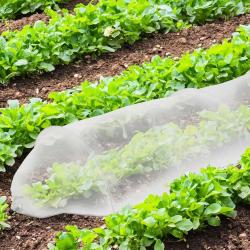 Tunnel de croissance 3m pour potager
