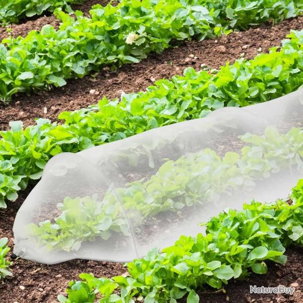 Tunnel de croissance 3m pour potager