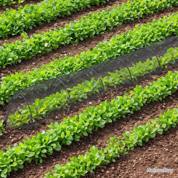 Tunnel de protection pour potager maill� - 3 m