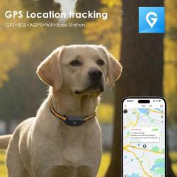 Collier traceur GPS 4G pour animaux - IP65 - Application gratuite