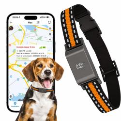 Collier traceur GPS 4G pour animaux avec abonnement