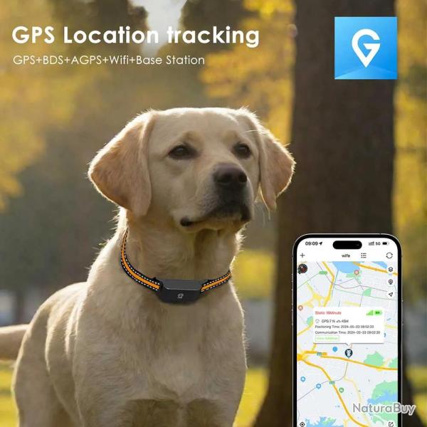 Collier traceur GPS 4G pour animaux - IP65 - Application gratuite