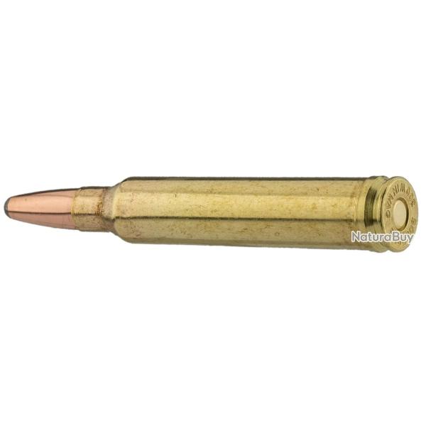 Sologne .300Win Mag type NOSLER PARTITION 220g