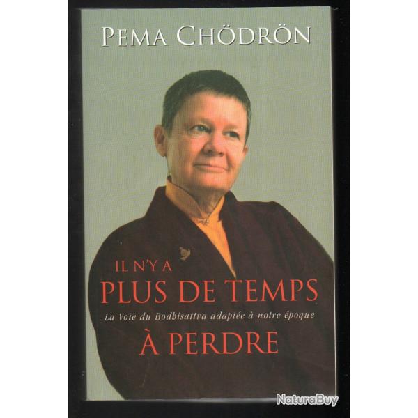 Il n'y a plus de temps  perdre : La Voie du Bodhisattva adapte  notre poque  Pema Chdrn