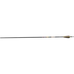Fl&egrave;che Sanlida Dragon 8 carbone 6.2 (0.006) 300 32''