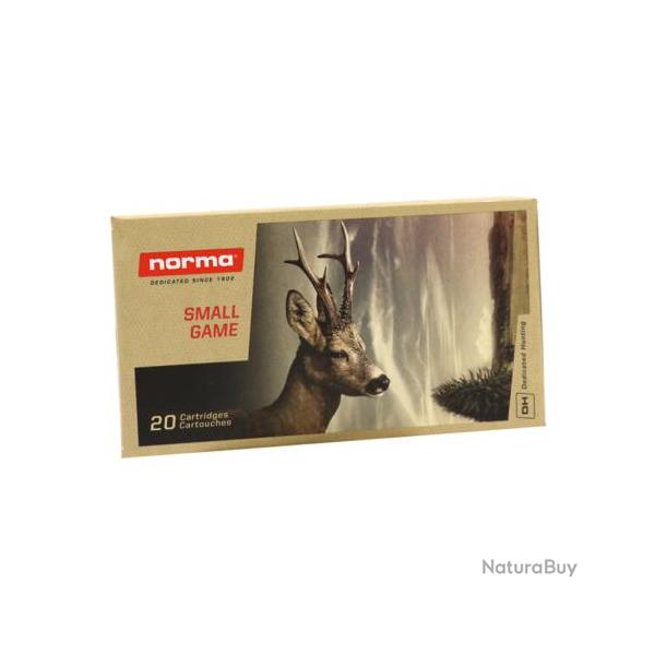 Munitions NORMA 243 Win Oryx 100gr x20