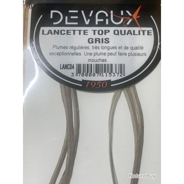 Lancettes de coq gris- Qualit� g�n�tique sup�rieure pour mouches s�ches