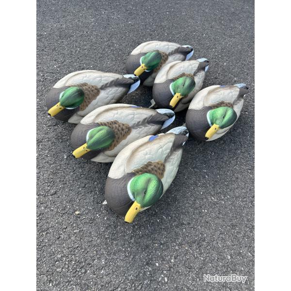 Lot de 6 Colvert HD Mouss�e