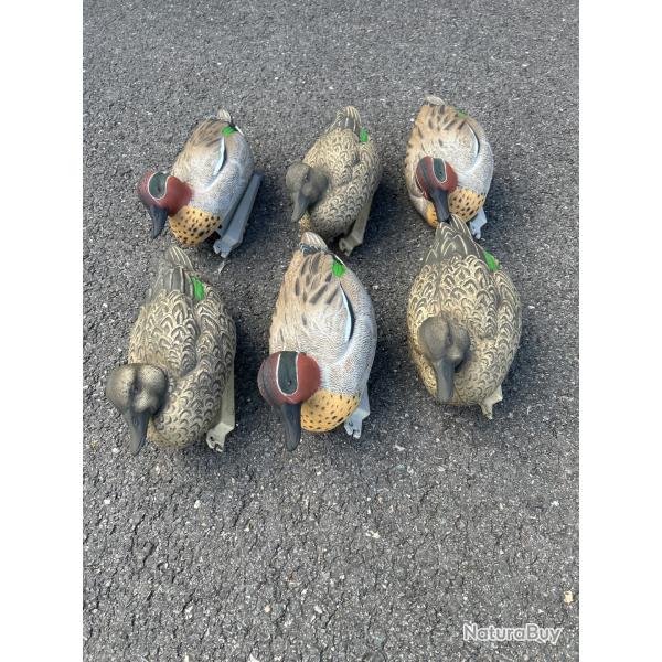 Lot de 6 sarcelles HD mouss�e M�le