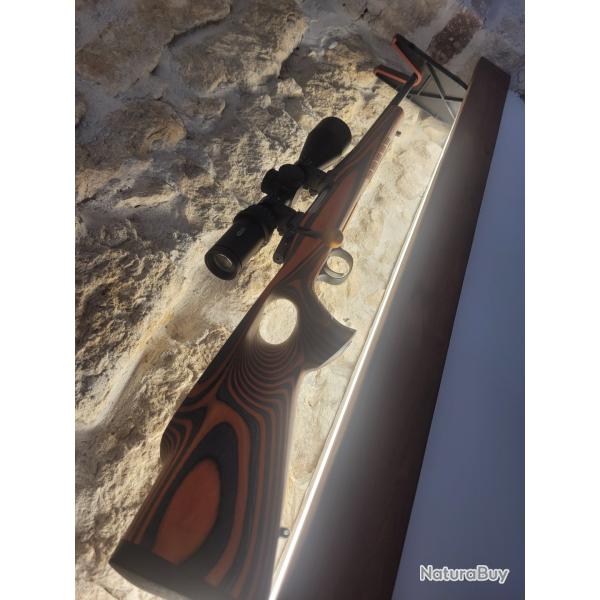 Cz557 sunset valley