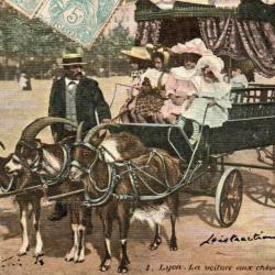 Carte postale ancienne - La voiture aux ch&egrave;vres, Place Bellecour, Lyon -N&deg;3982