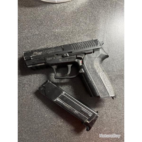 Sig sauer p2022 co2 nbb