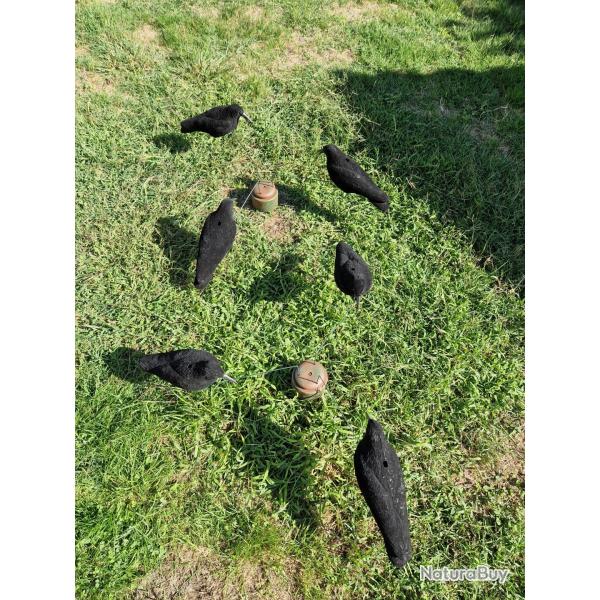 Lot leurres corvid�s