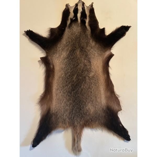 peau de blaireau