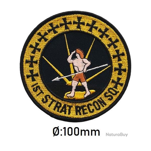 1st STRATEGIC RECONNAISSANCE SQUADRON ( 1990 ) ( 9th SRW )